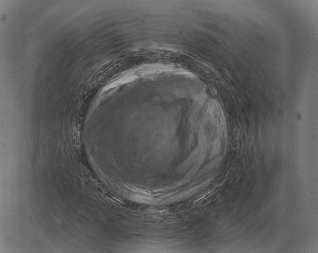 X0000081461013200702021802