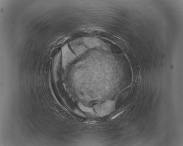 X0000081461014200702021802