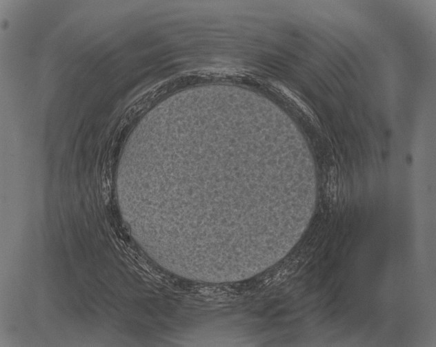 X0000081461015200702021802