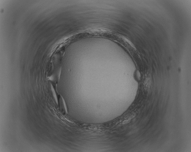 X0000081461016200702021802