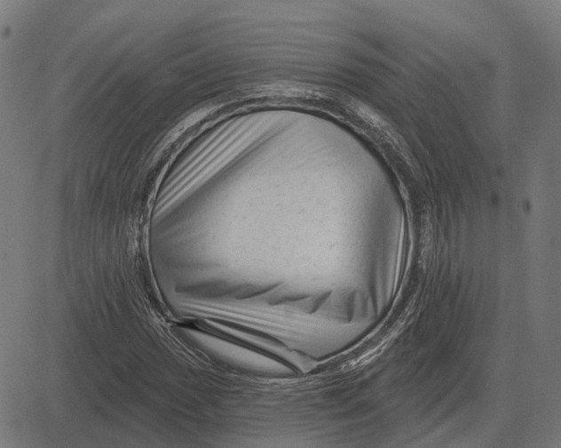 X0000081461017200702021802