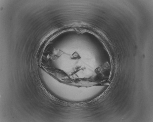 X0000081461018200702021802