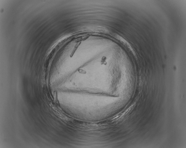 X0000081461019200702021802