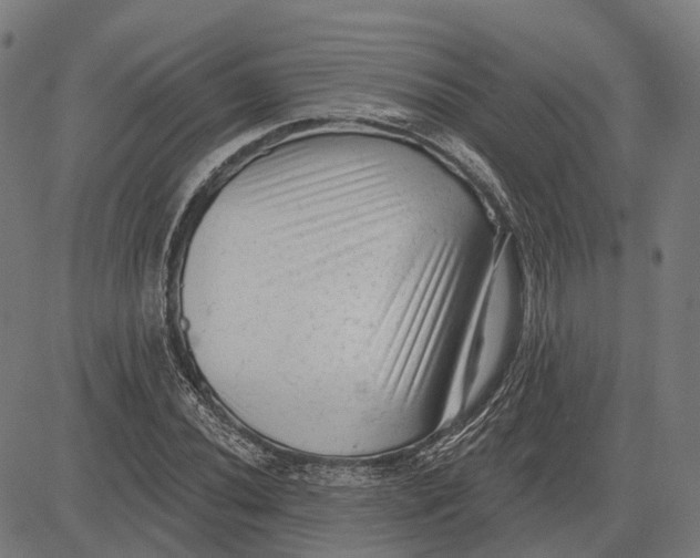 X0000081461020200702021802