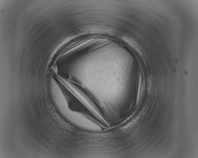 X0000081461021200702021802