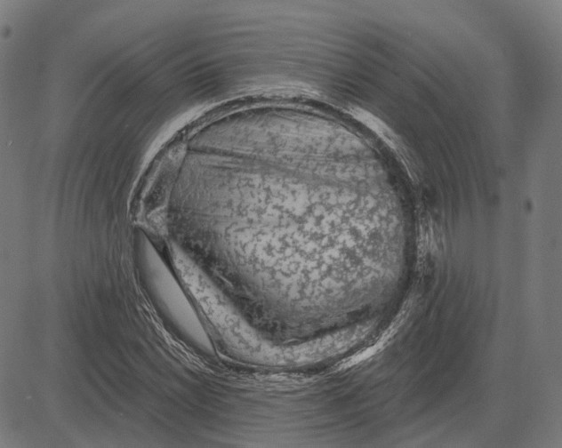 X0000081461022200702021802