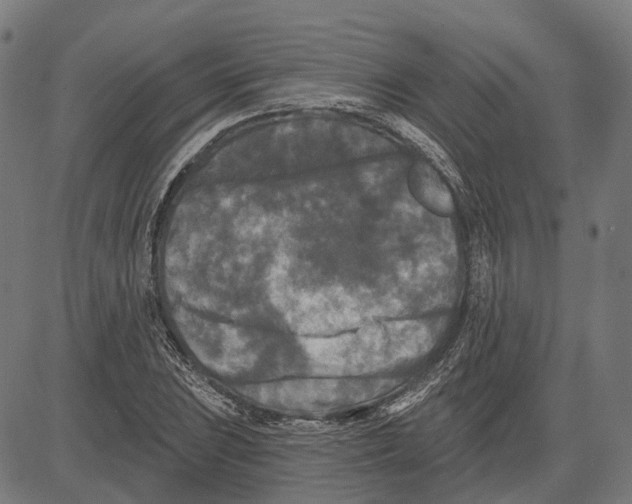 X0000081461023200702021802