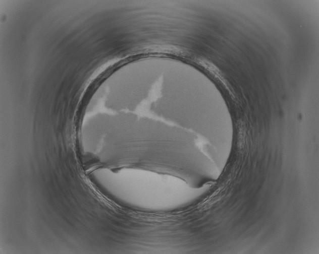 X0000081461024200702021802