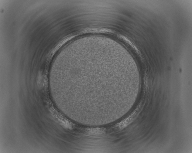 X0000081461025200702021802