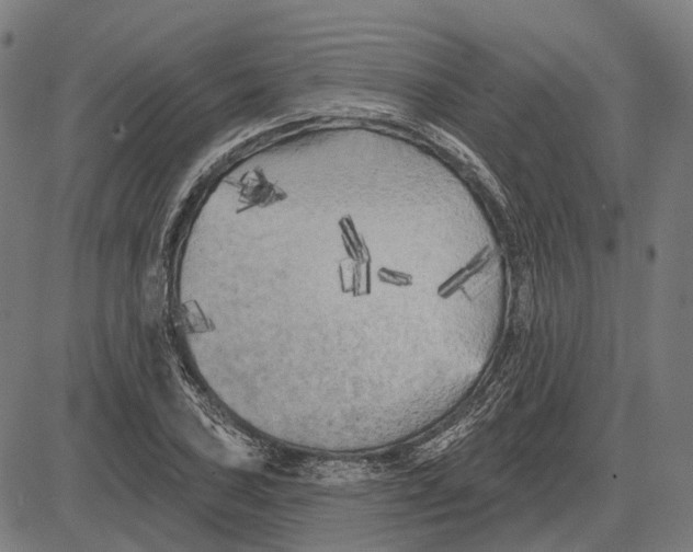 X0000081461027200702021802