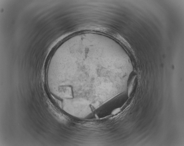 X0000081461028200702021802