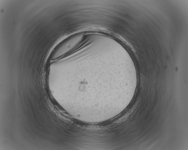 X0000081461029200702021802