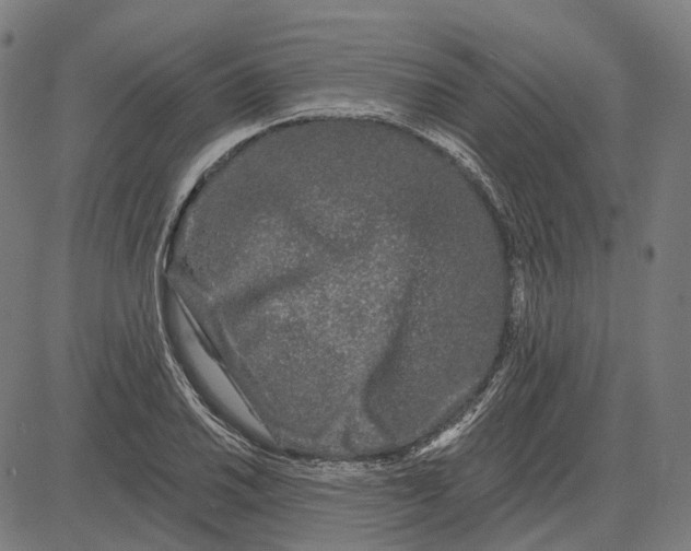 X0000081461030200702021802