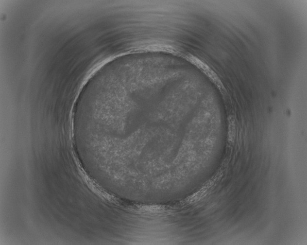 X0000081461031200702021802