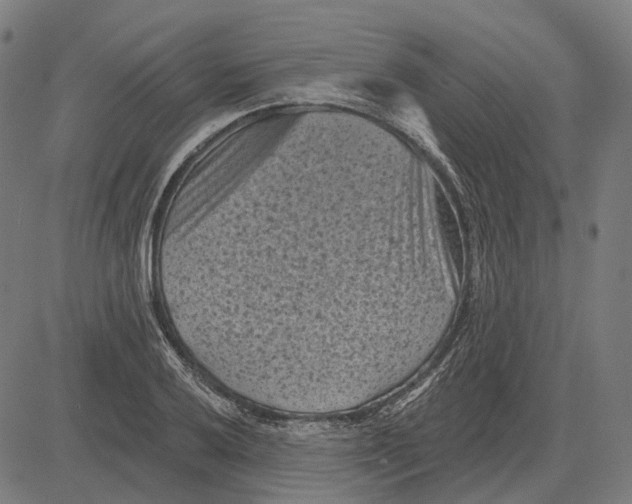 X0000081461032200702021802