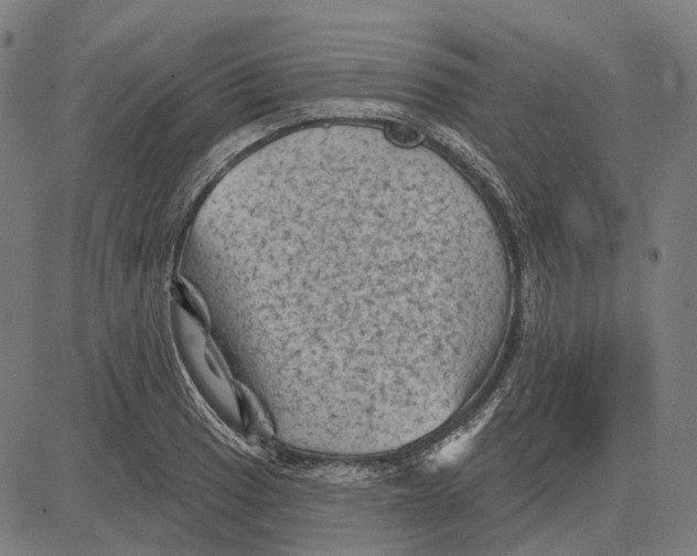 X0000081461033200702021802