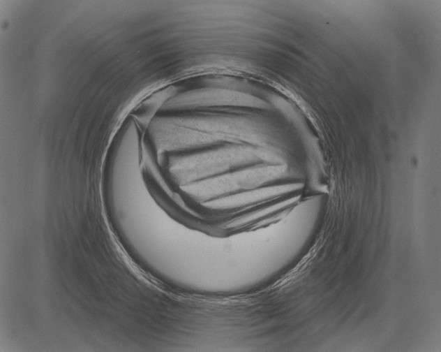 X0000081461034200702021802