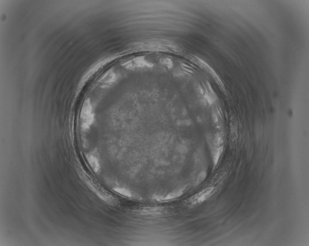 X0000081461035200702021802