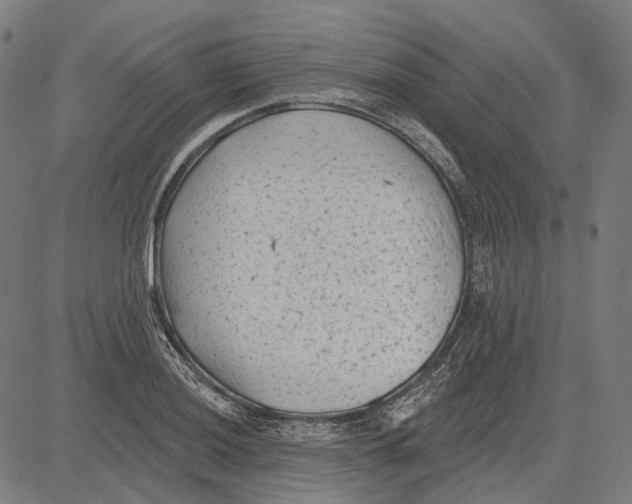 X0000081461036200702021802