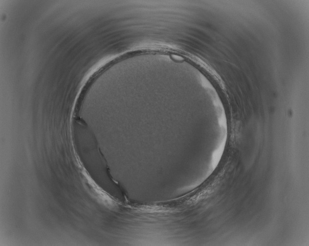 X0000081461037200702021802