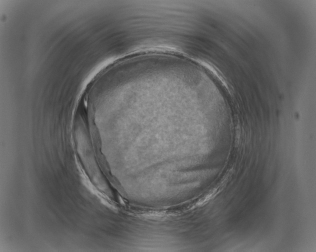 X0000081461038200702021802