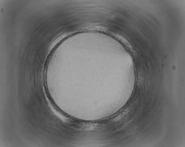 X0000081461039200702021802