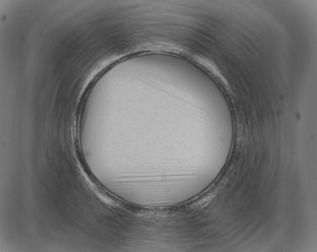 X0000081461040200702021802