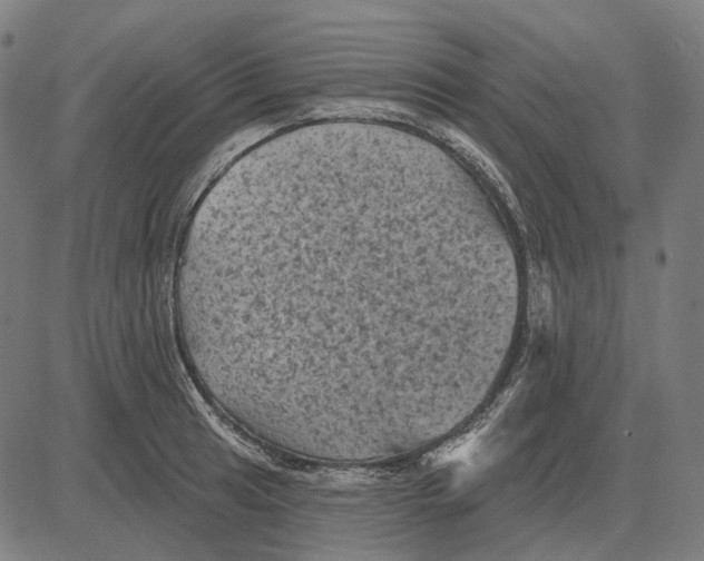 X0000081461041200702021802