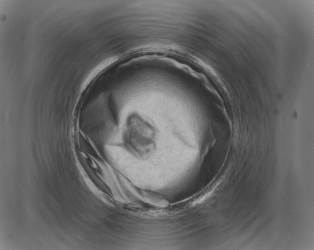 X0000081461042200702021802