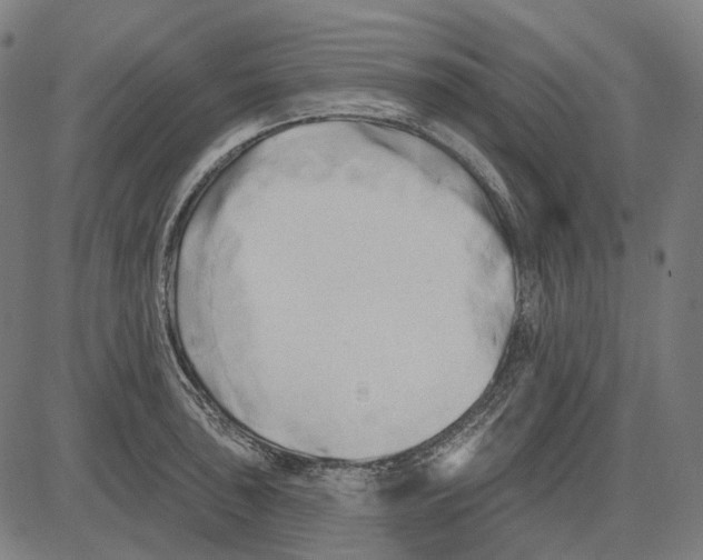 X0000081461043200702021802