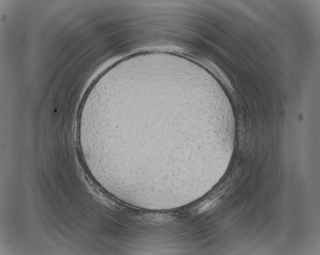 X0000081461044200702021802