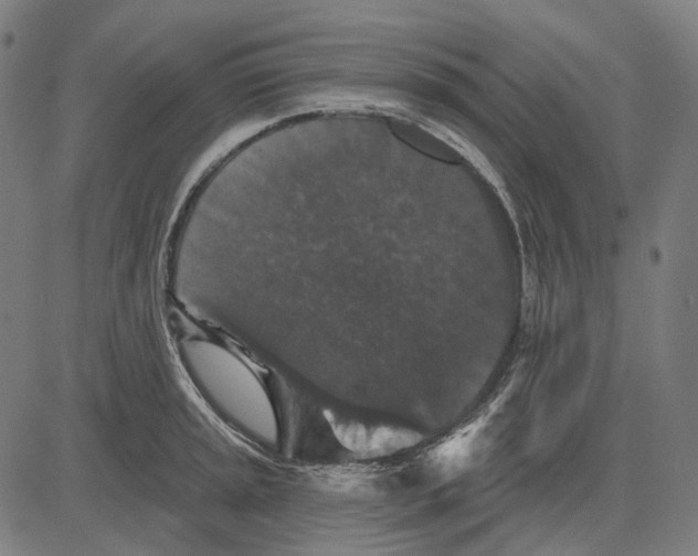 X0000081461045200702021802