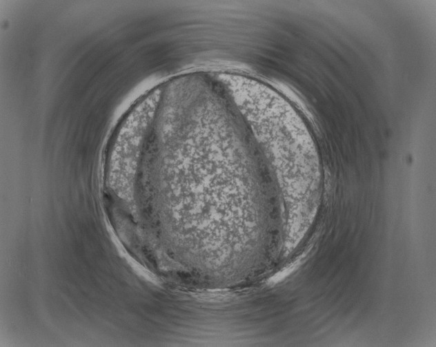 X0000081461046200702021802