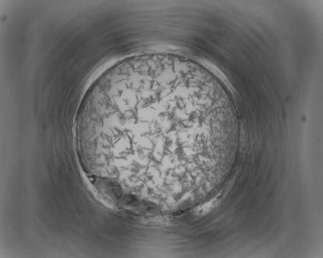 X0000081461047200702021802