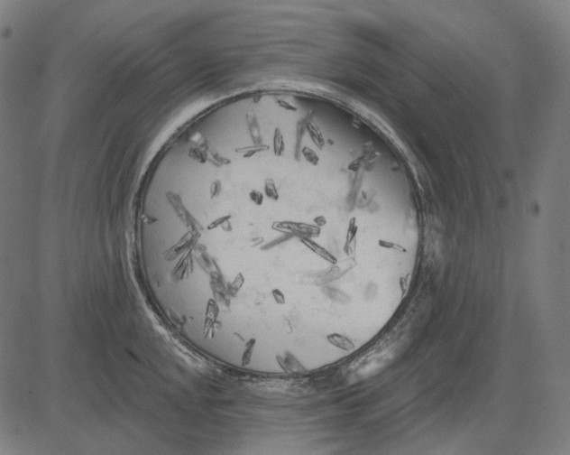 X0000081461048200702021802