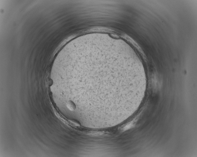 X0000081461049200702021802