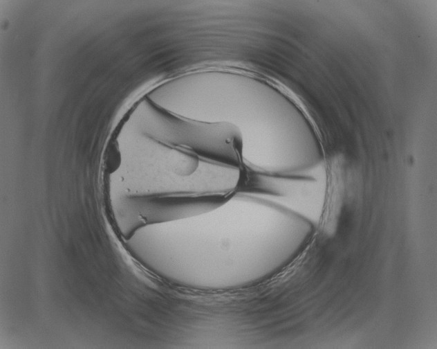 X0000081461050200702021802