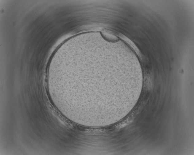 X0000081461051200702021802