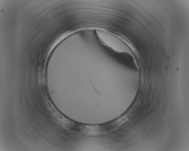 X0000081461052200702021802