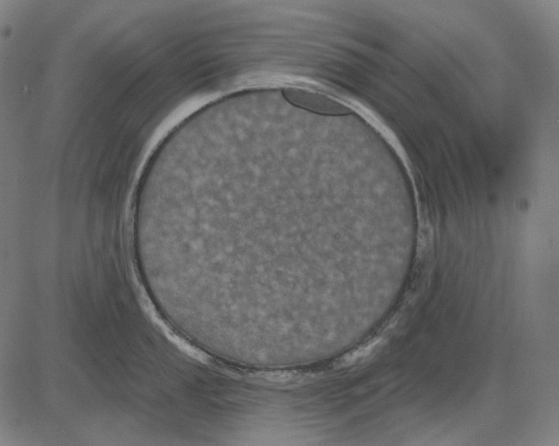 X0000081461053200702021802