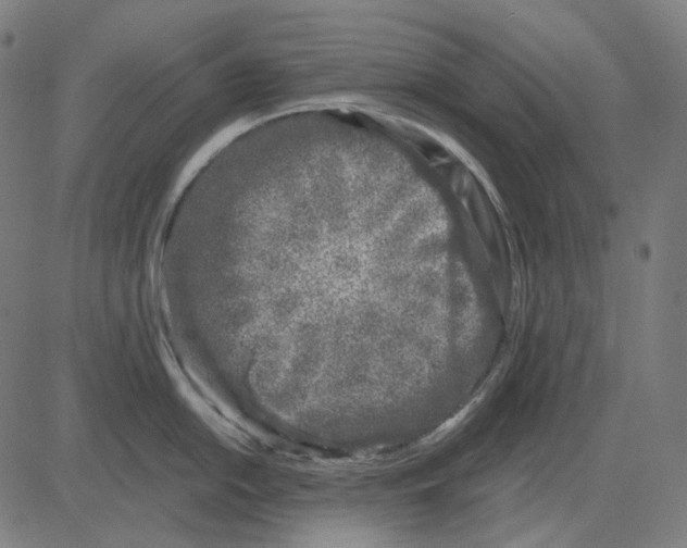 X0000081461054200702021802