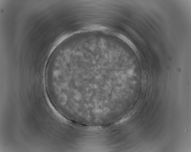 X0000081461055200702021802