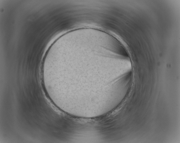 X0000081461056200702021802