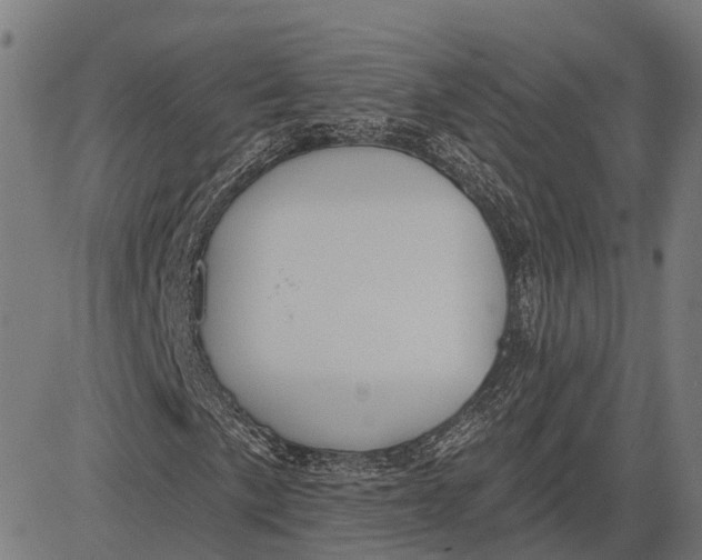 X0000081461057200702021802