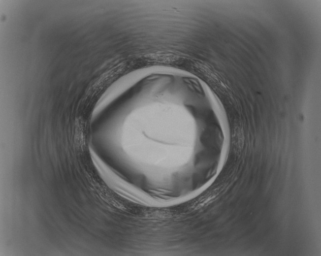 X0000081461058200702021802