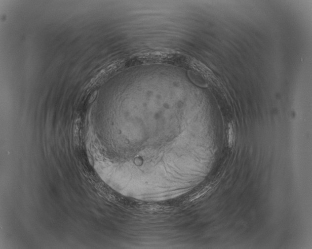 X0000081461059200702021802