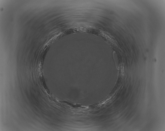 X0000081461060200702021802