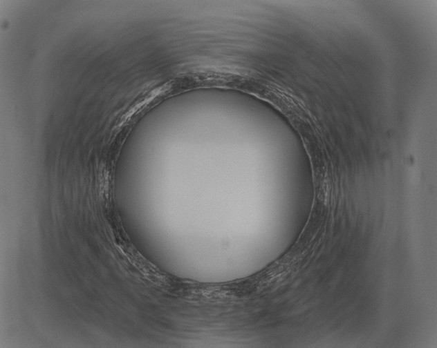 X0000081461061200702021802