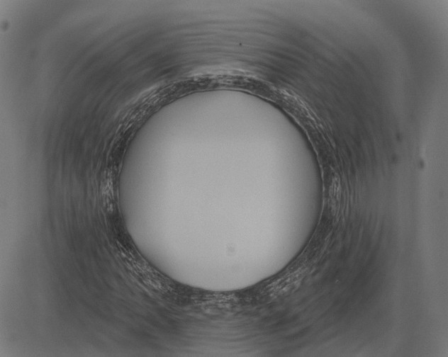 X0000081461062200702021802