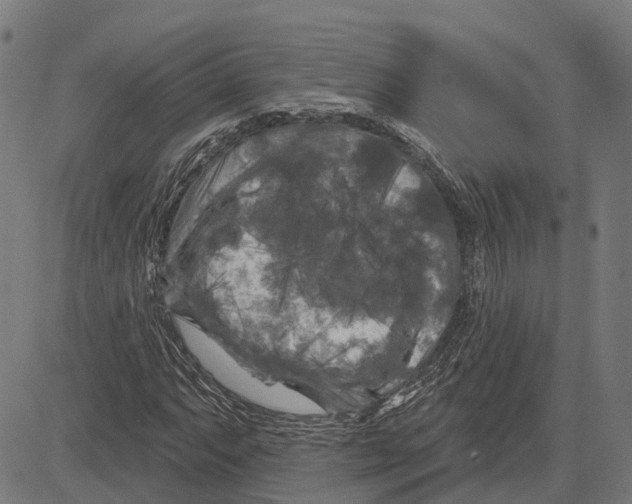 X0000081461063200702021802